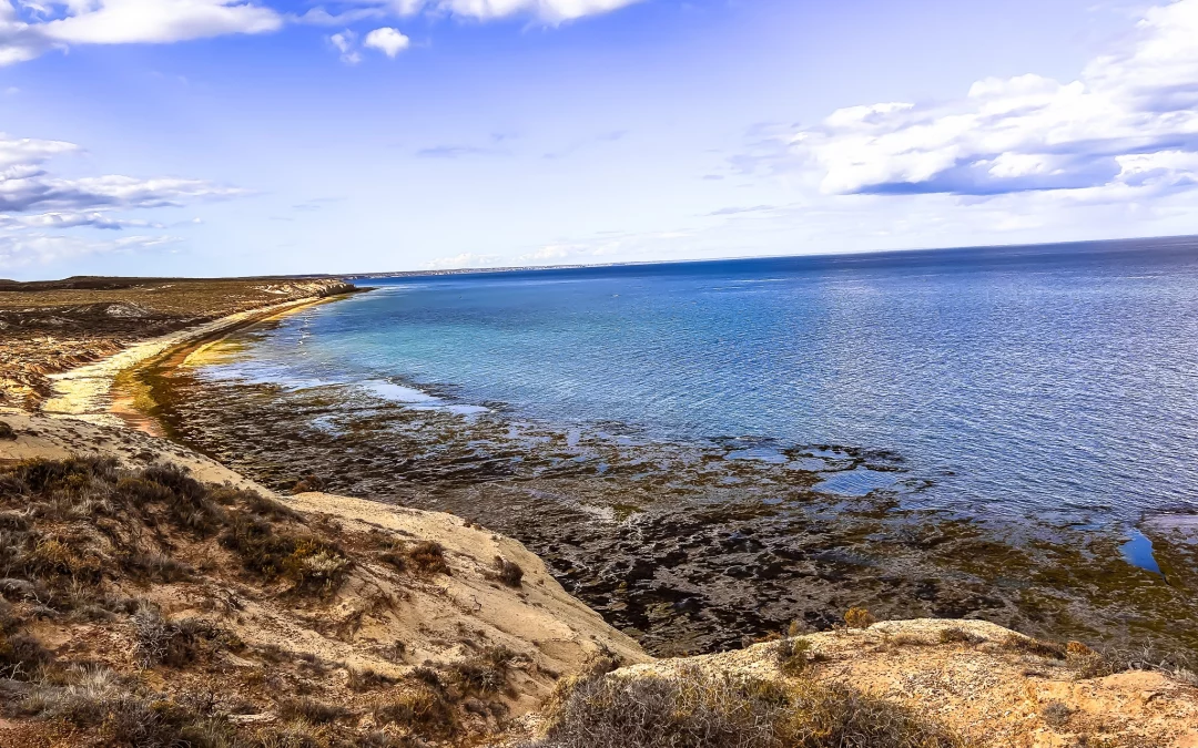 playa la cantera, madryn, ballenas