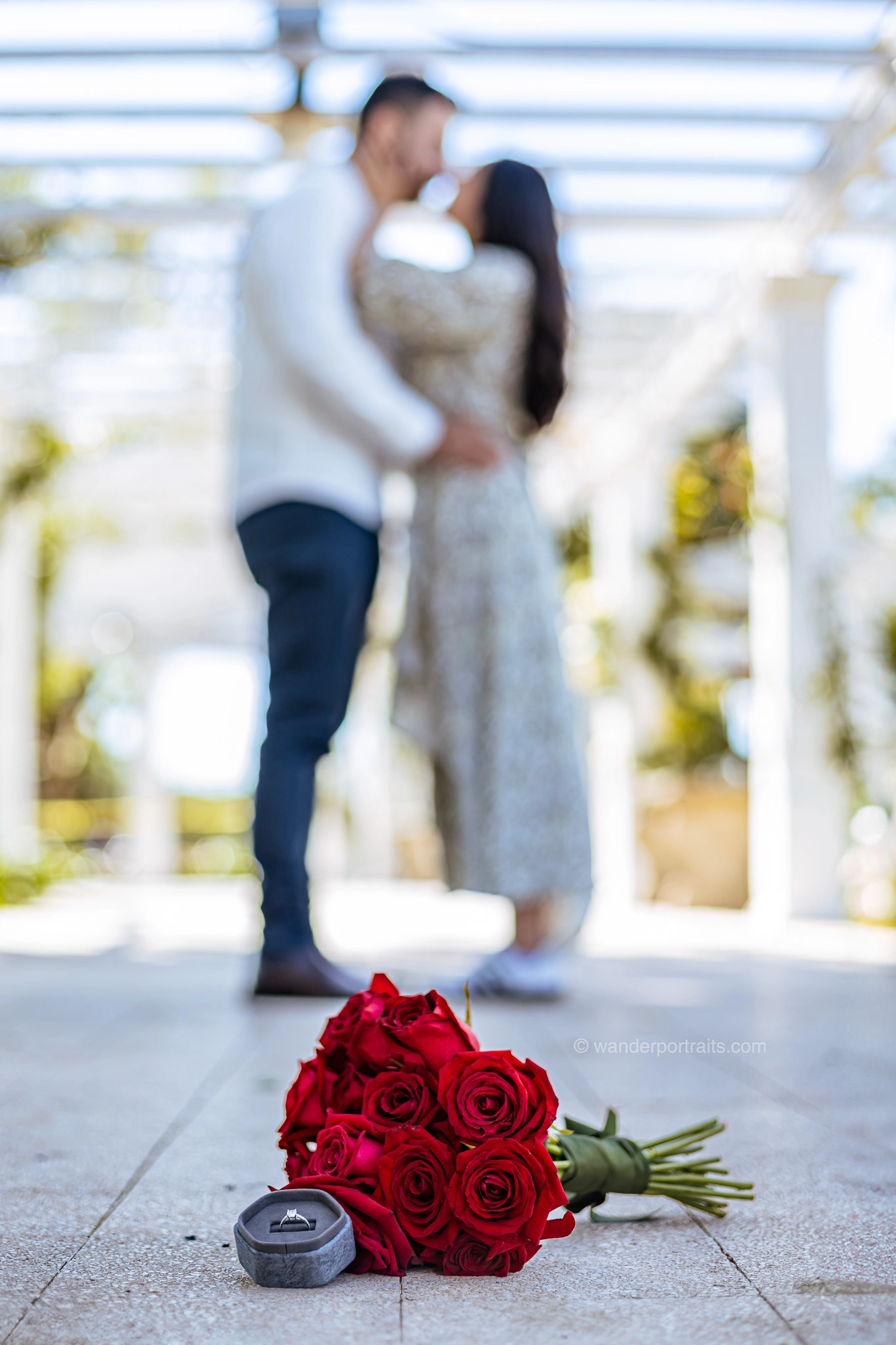 6O7A4011-Edit-WEBP pareja recien comprometida en el rosedal del palermo